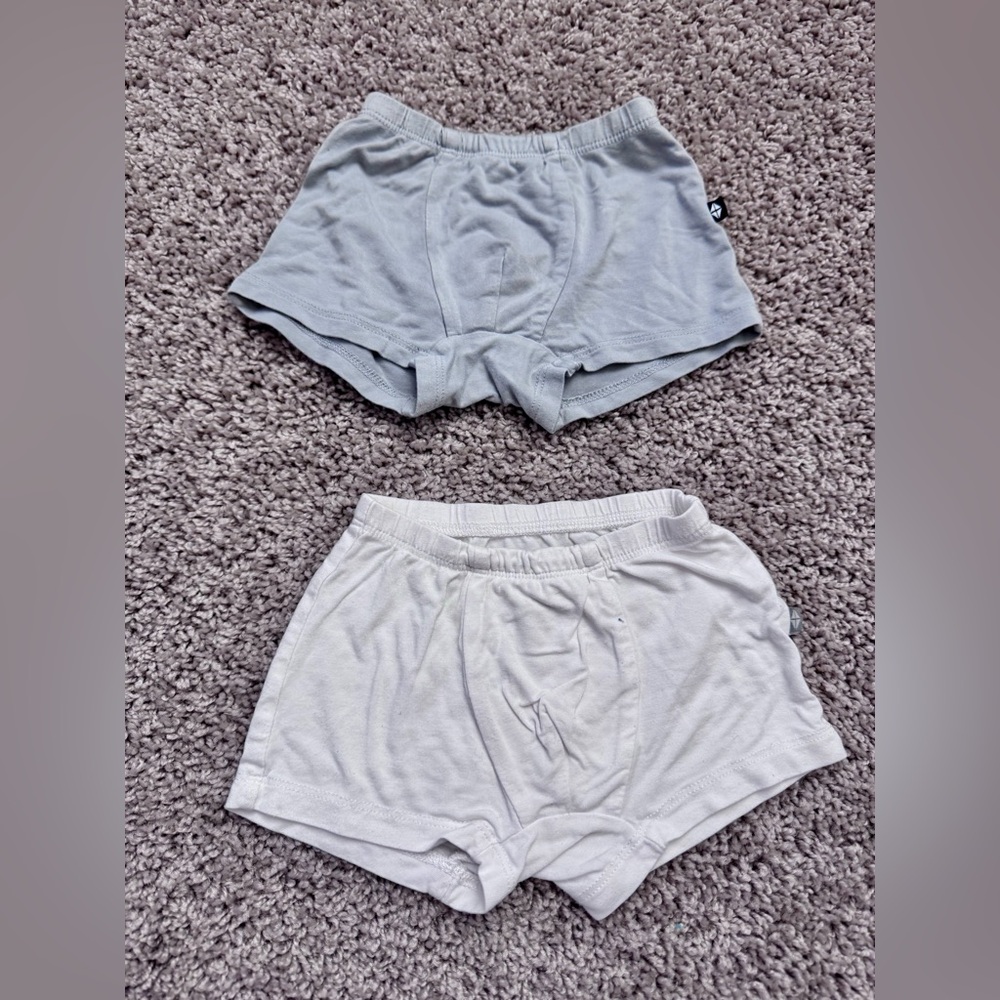 Kyte BABY Soft gray and White underwear kids size 3